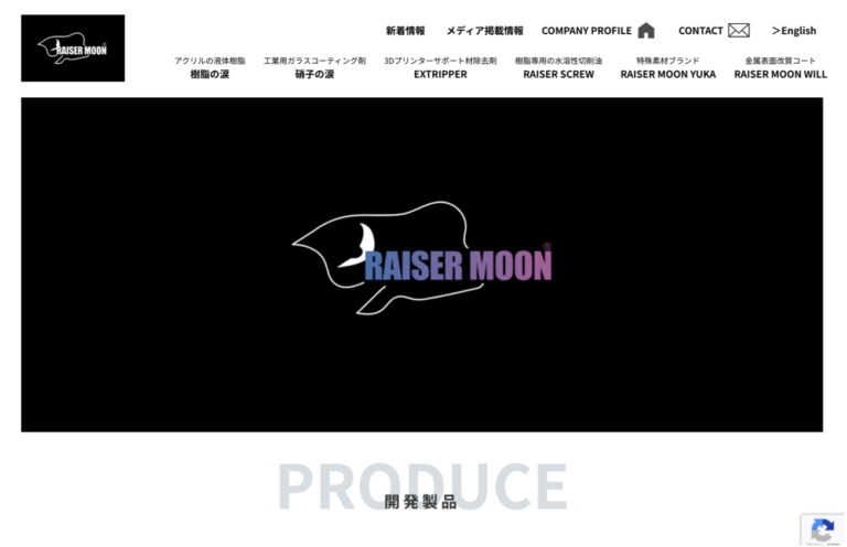 株式会社RAISERMOON
HP制作　成功事例
